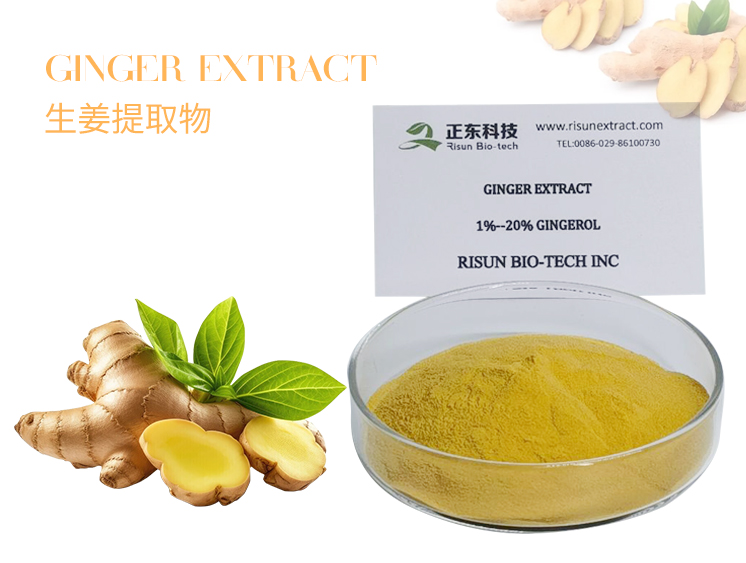 Ginger Extract