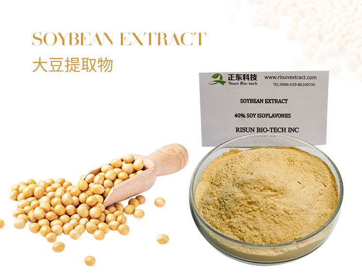 Soybean Extract