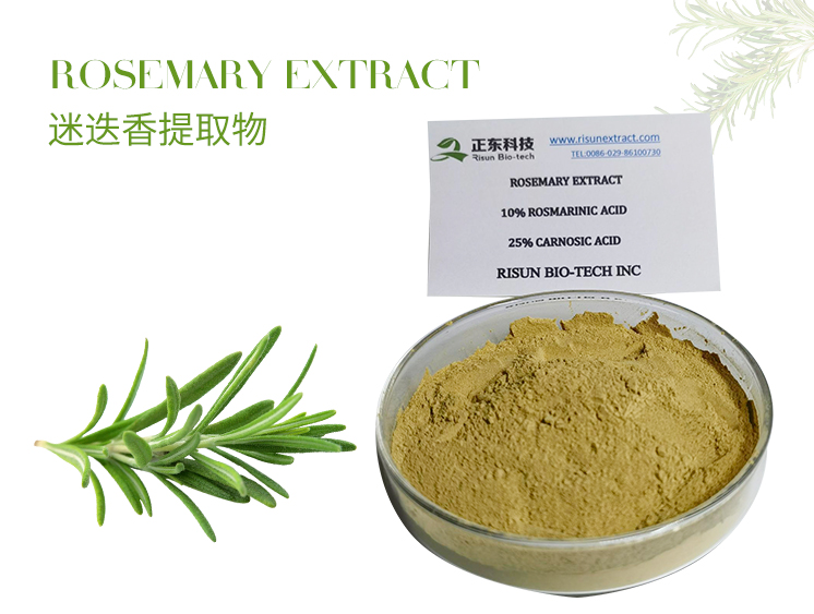 Rosemary Extract